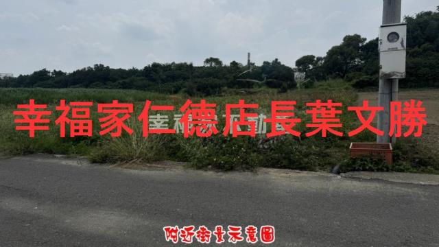 台南善化農地-0