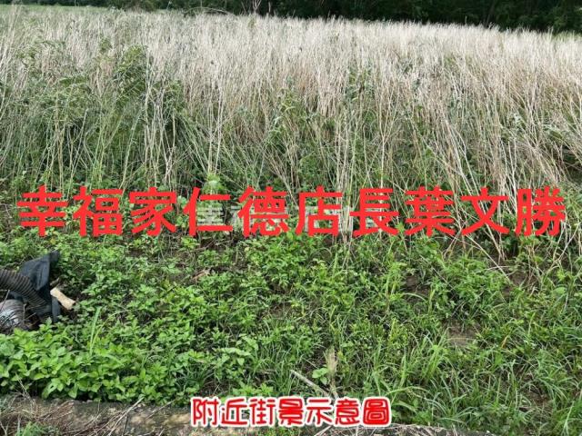 新市農地-9