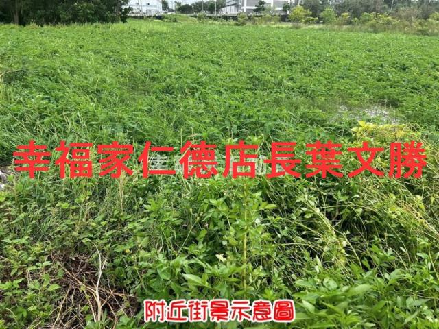 新市農地-1