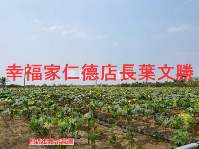 柳營農地-9
