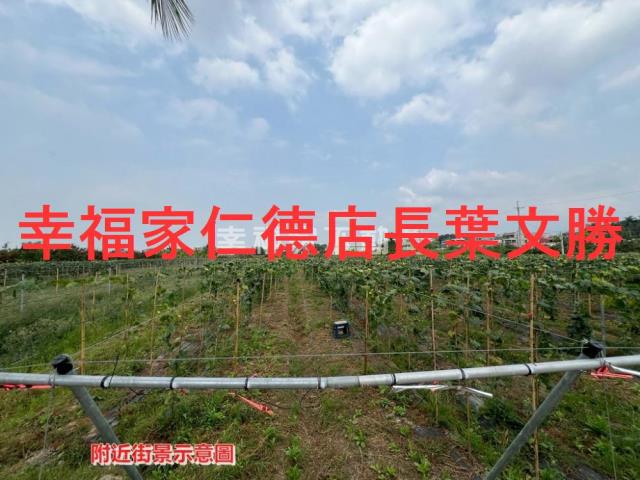 柳營農地-11