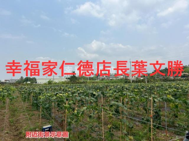 柳營農地-14