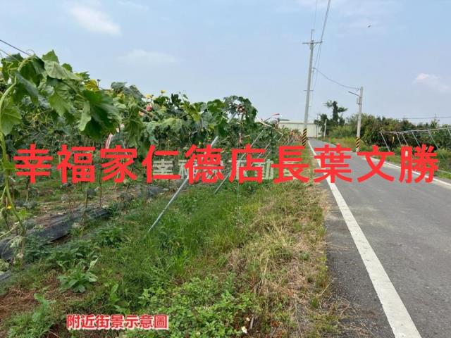 柳營農地-5