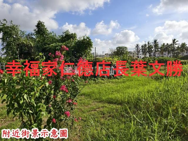 歸仁農地-9