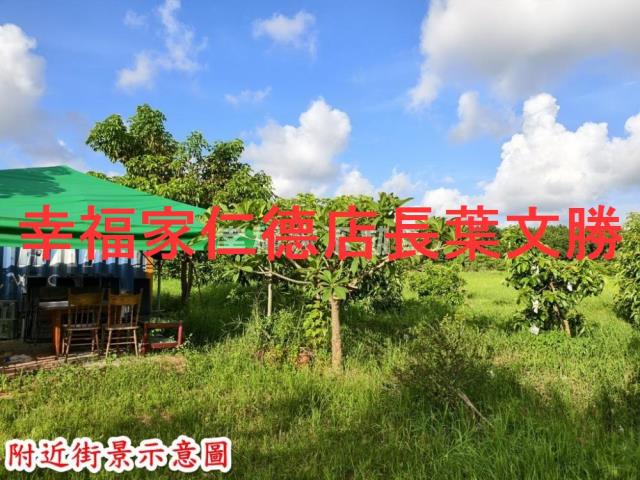 歸仁農地-10