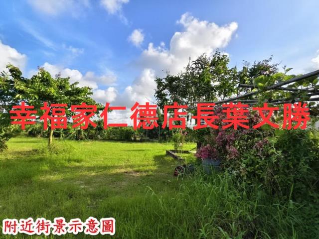 歸仁農地-7