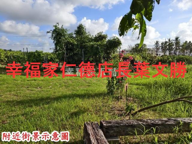 歸仁農地-8
