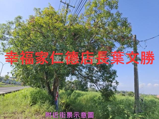 新化農地-3