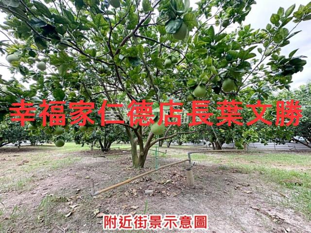 下營農地-9
