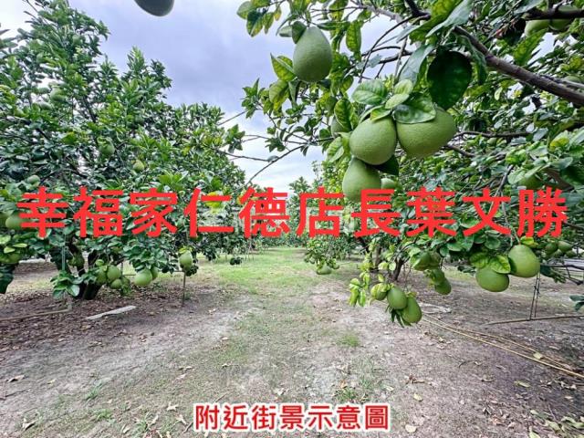 下營農地-12
