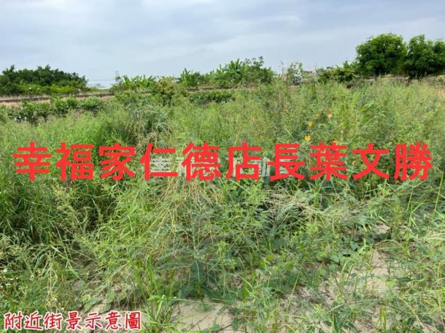 安定農地-0