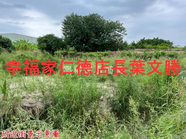 安定農地-3