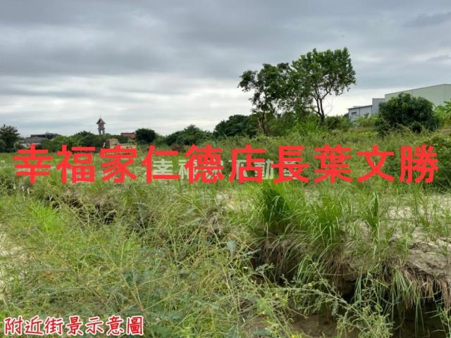 安定農地-6