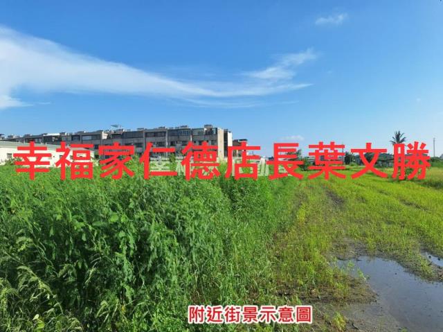 安定農地-2