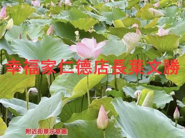 白河農地-10