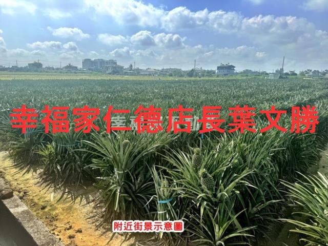 台南農地-8