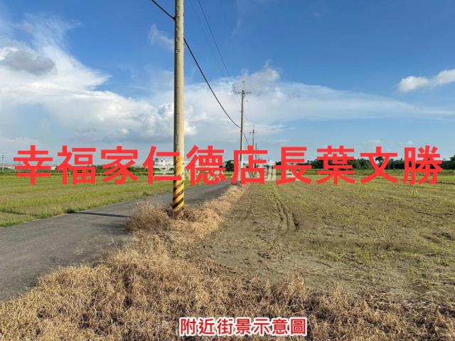 台南善化農地-5