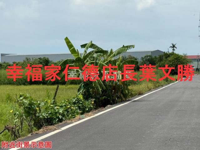 安定農地-8
