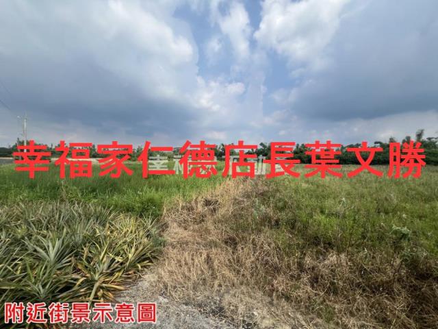 新市農地-3