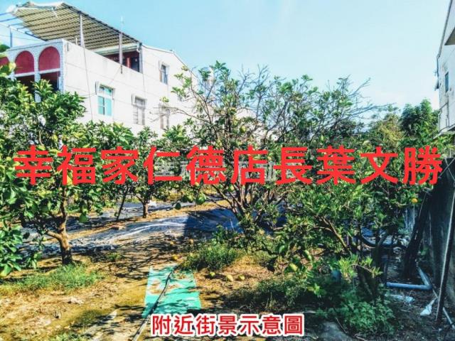 麻豆農地-14