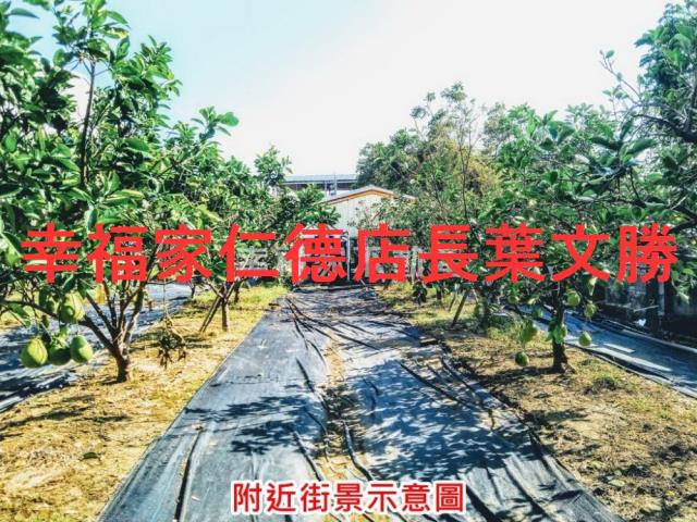 麻豆農地-6
