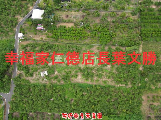 歸仁農地-10