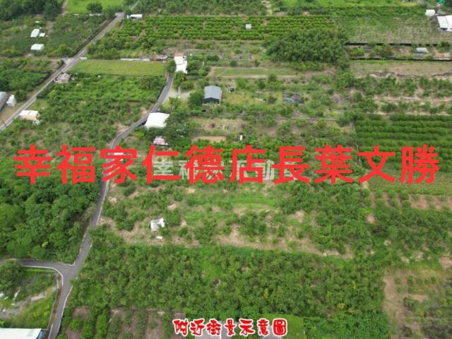 歸仁農地-12