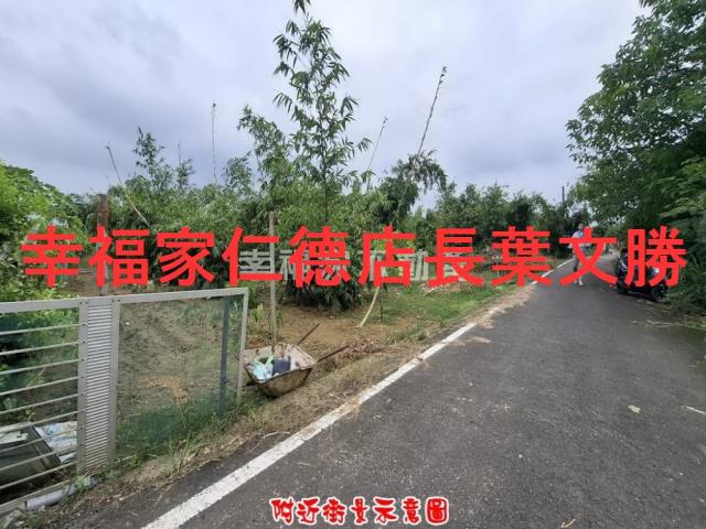 歸仁農地-0