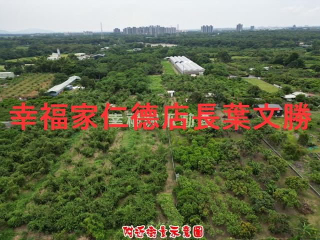 歸仁農地-4