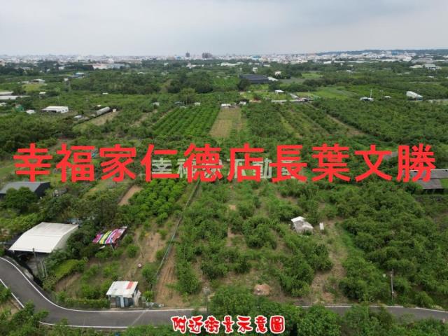 歸仁農地-7