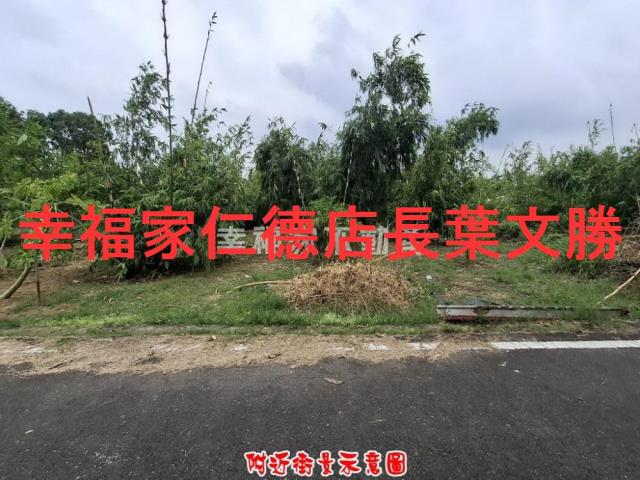 歸仁農地-8