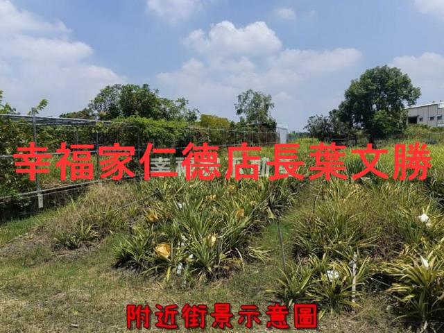 新化農地-13