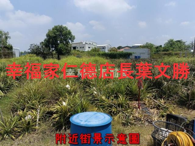 新化農地-4