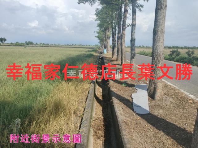 佳里農地-3