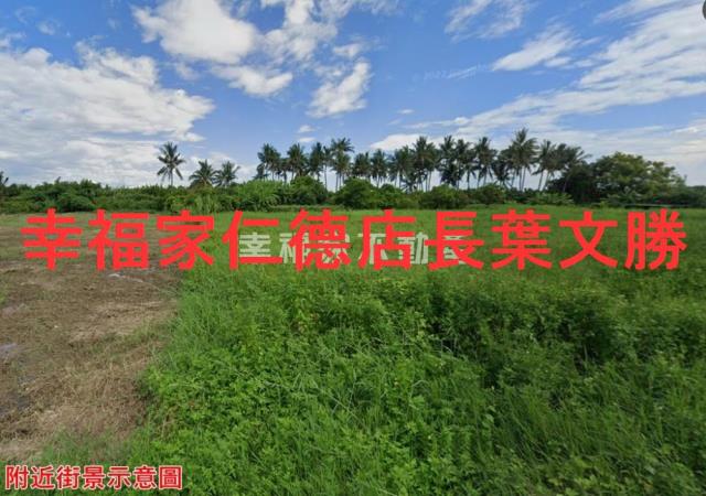 歸仁農地-13