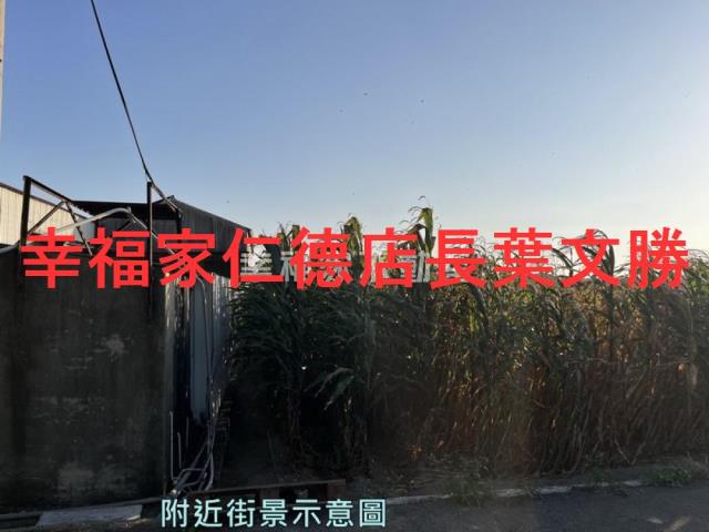 安定農地-9