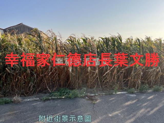 安定農地-10