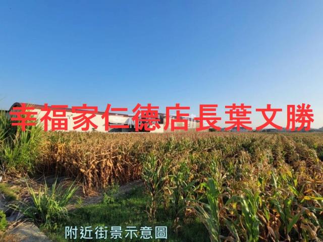 安定農地-12