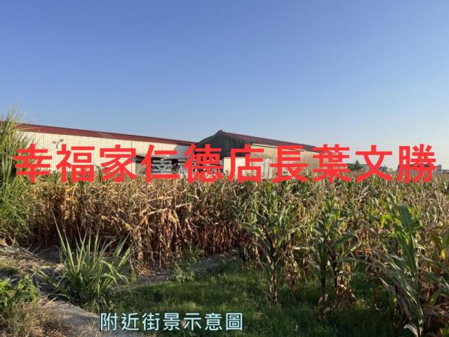 安定農地-7