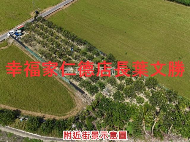 麻豆農地-11