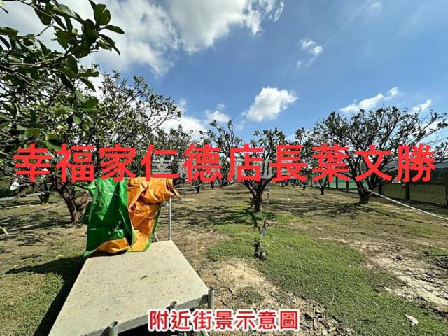 麻豆農地-12