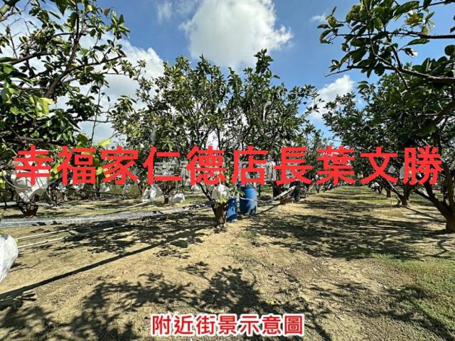 麻豆農地-13