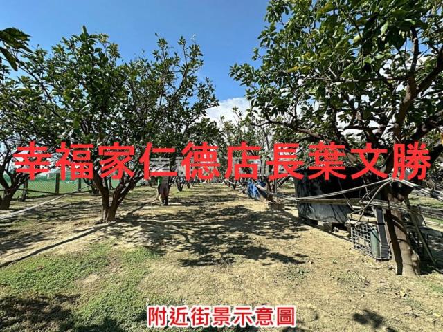 麻豆農地-14