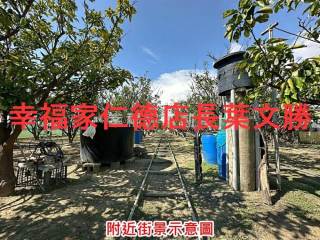 麻豆農地-3