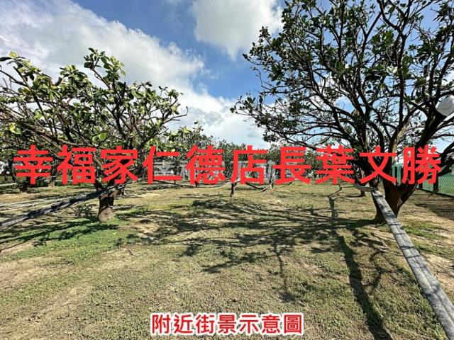 麻豆農地-5