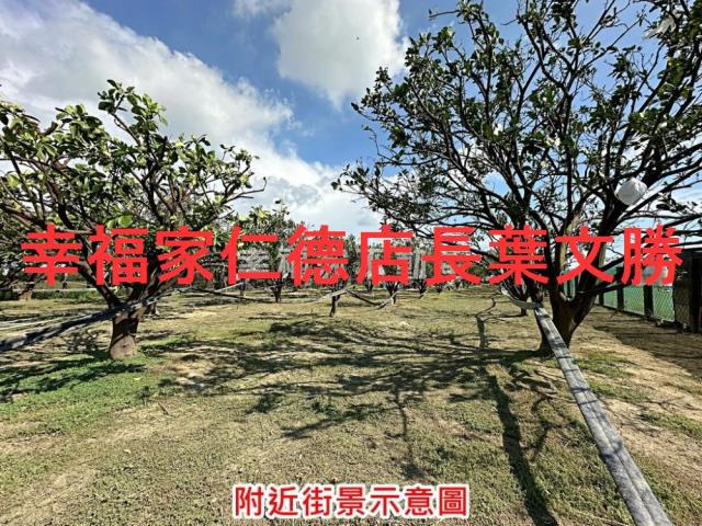 麻豆農地-6