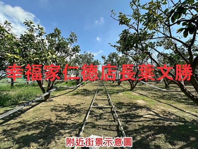 麻豆農地-8