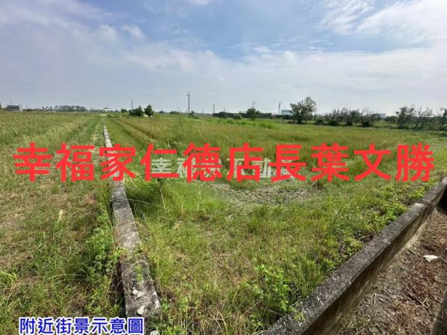 佳里農地-4