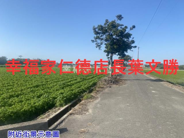 台南農地-2