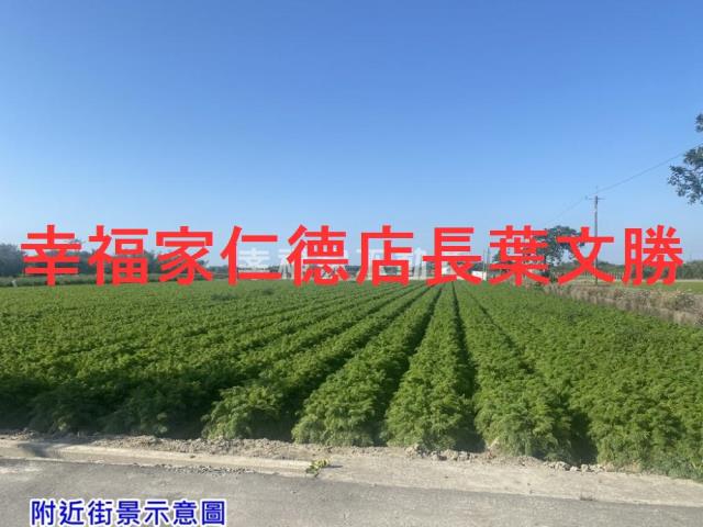 台南農地-5